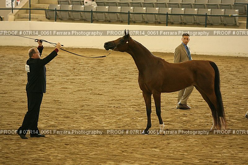 Proof 07R14_0061