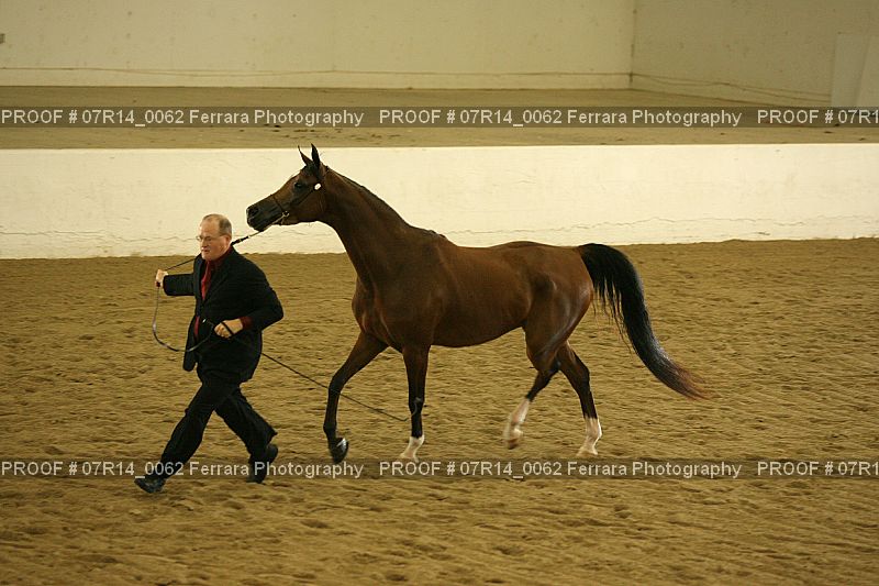 Proof 07R14_0062