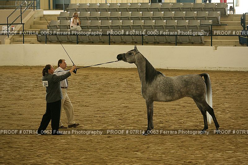 Proof 07R14_0063