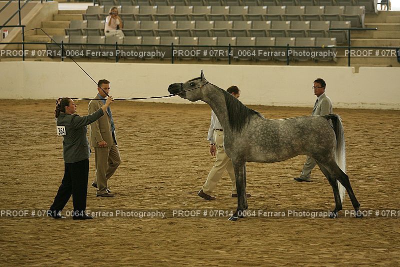 Proof 07R14_0064