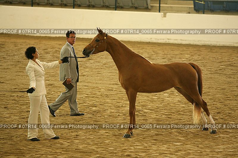 Proof 07R14_0065