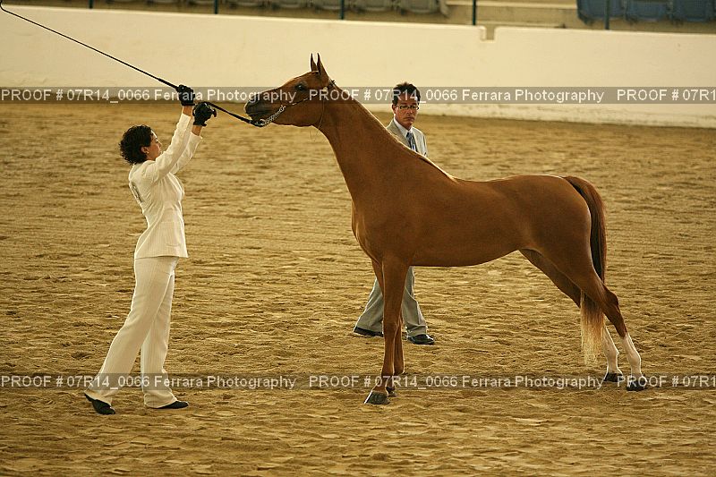 Proof 07R14_0066