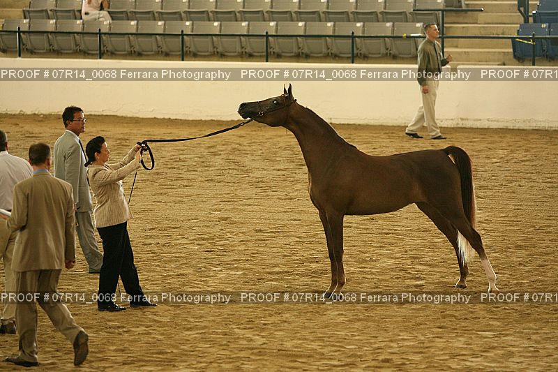 Proof 07R14_0068