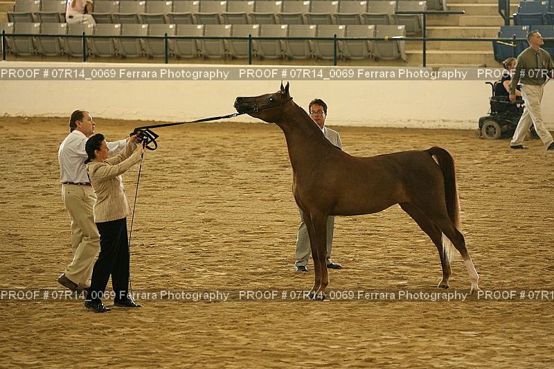 Proof 07R14_0069
