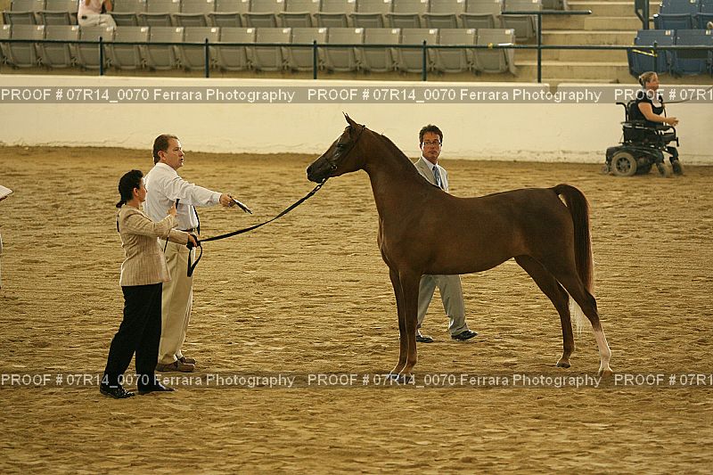 Proof 07R14_0070