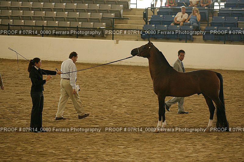 Proof 07R14_0080