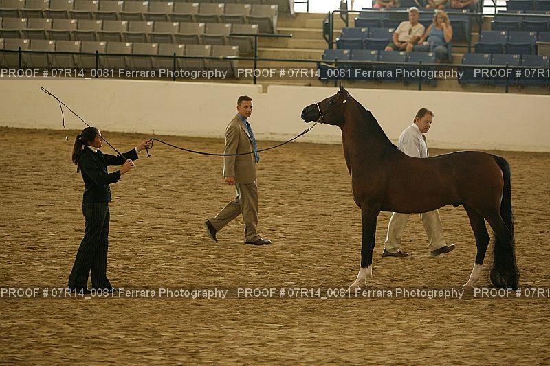 Proof 07R14_0081