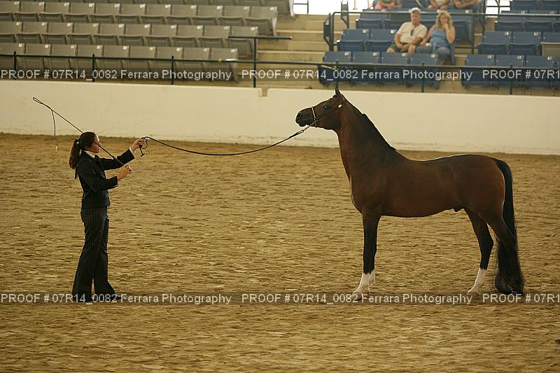 Proof 07R14_0082
