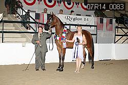07R14_0083 proof