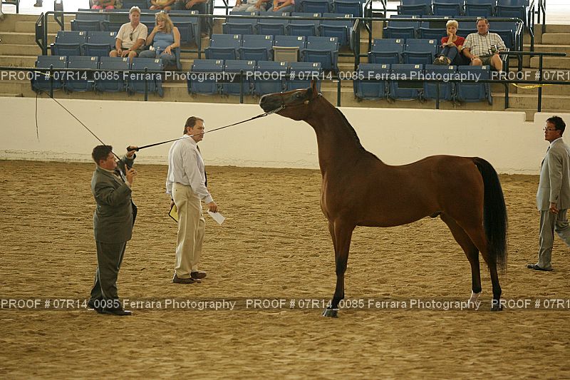 Proof 07R14_0085