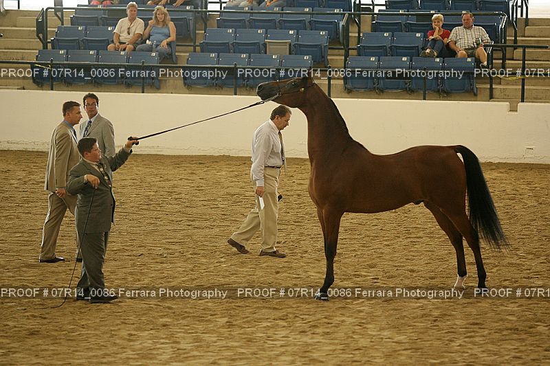 Proof 07R14_0086
