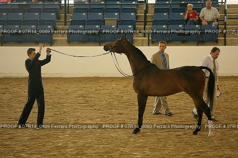 Proof 07R14_0089