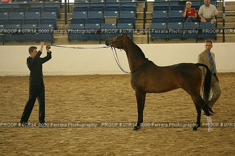 Proof 07R14_0090