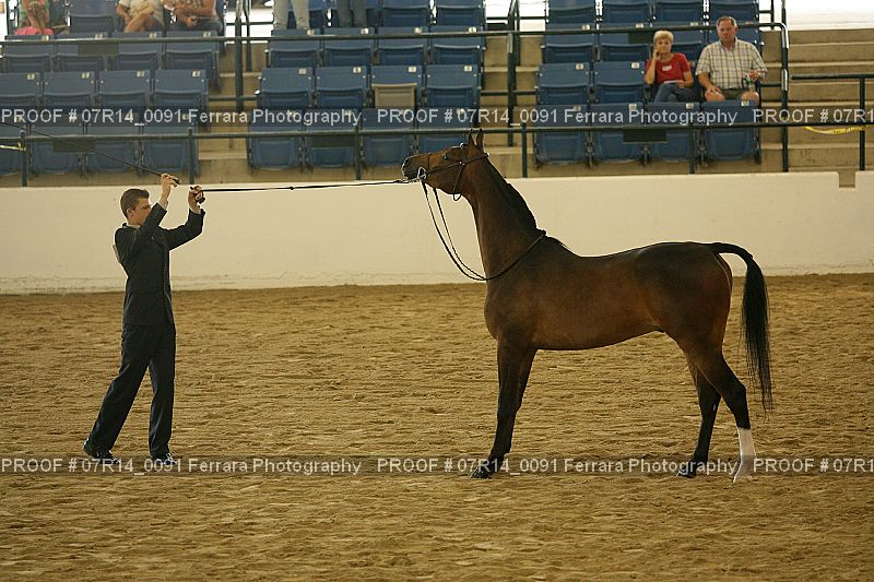 Proof 07R14_0091