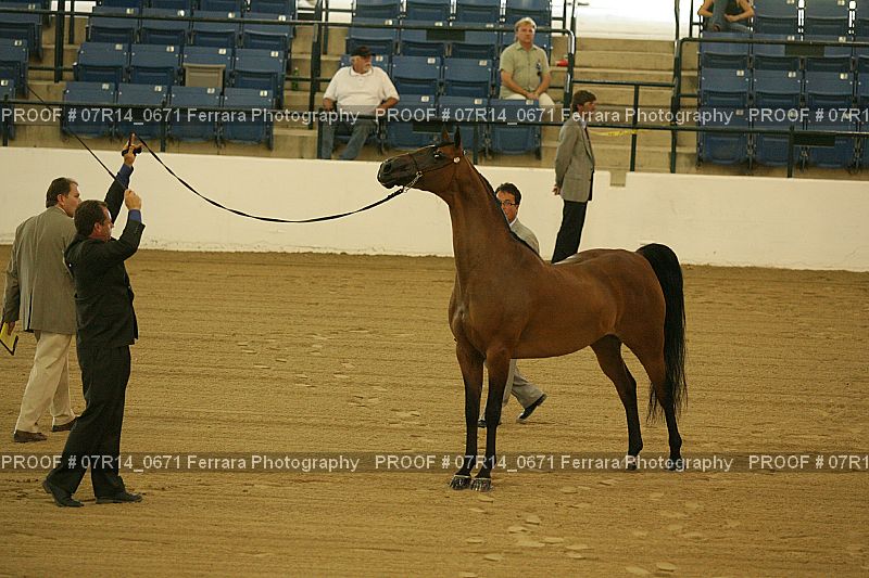 Proof 07R14_0671