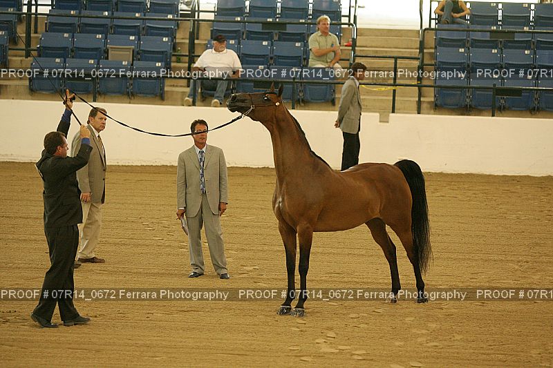 Proof 07R14_0672