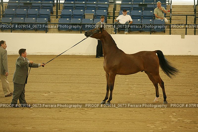 Proof 07R14_0673