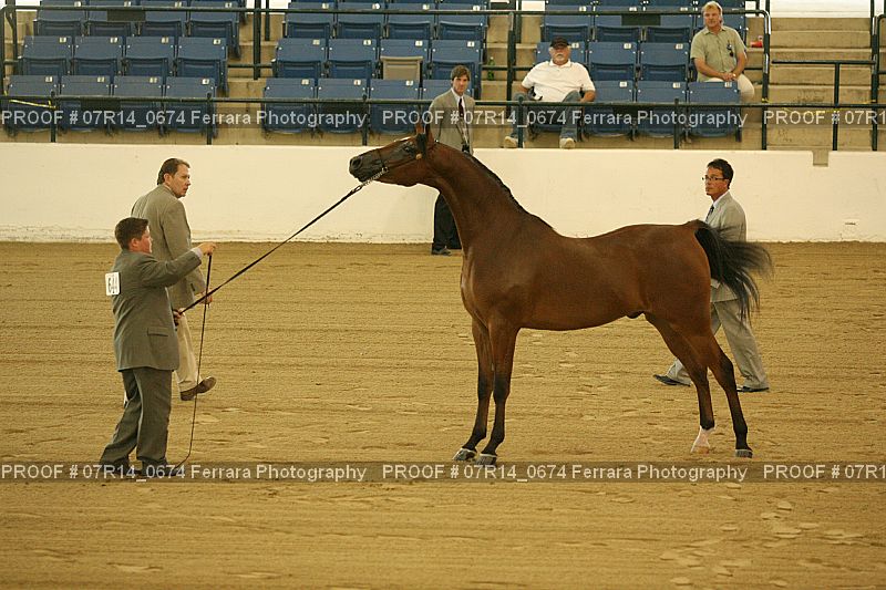 Proof 07R14_0674