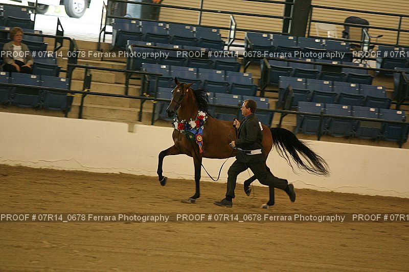 Proof 07R14_0678