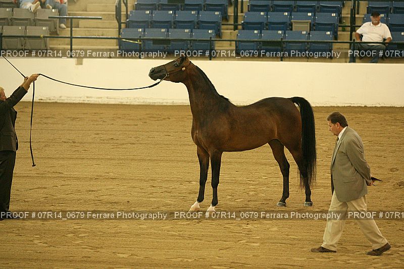Proof 07R14_0679