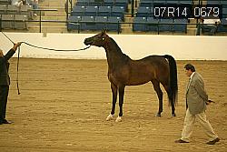 07R14_0679 proof