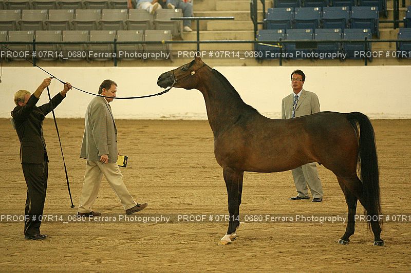 Proof 07R14_0680