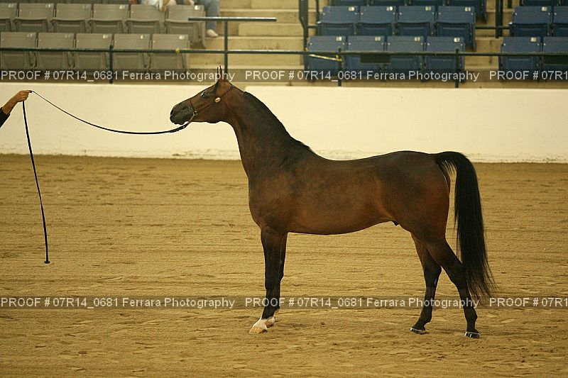 Proof 07R14_0681
