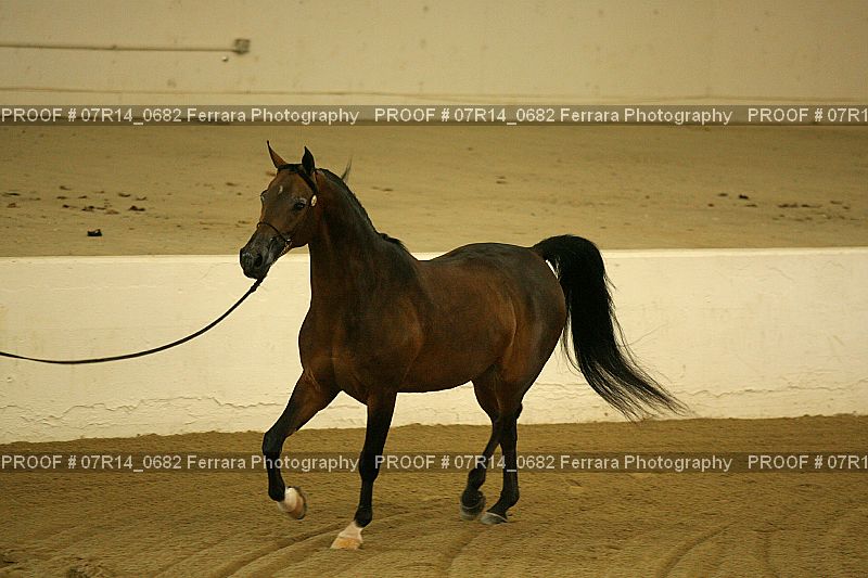 Proof 07R14_0682