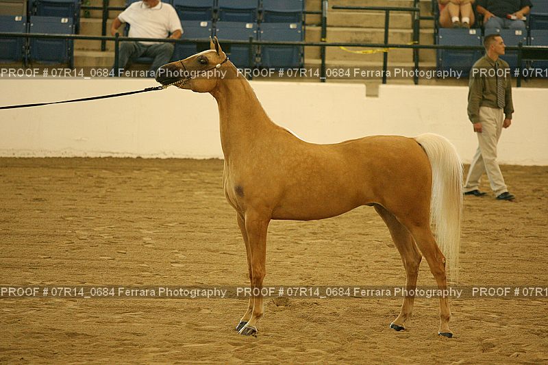 Proof 07R14_0684