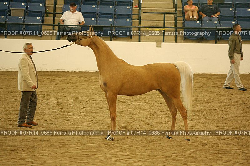 Proof 07R14_0685