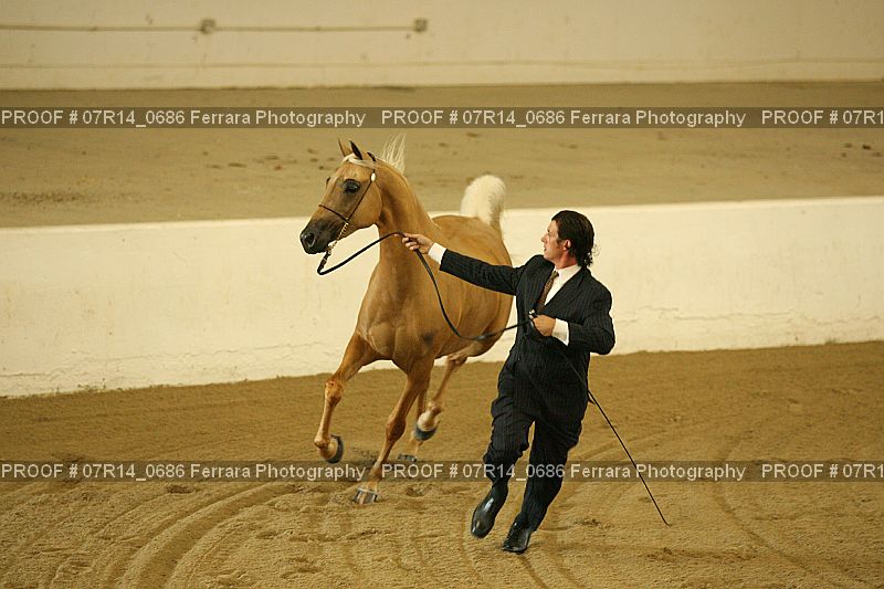 Proof 07R14_0686