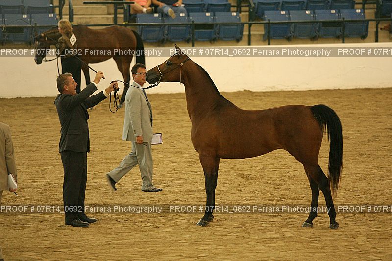 Proof 07R14_0692