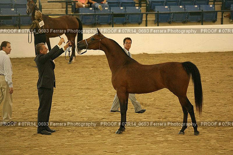 Proof 07R14_0693