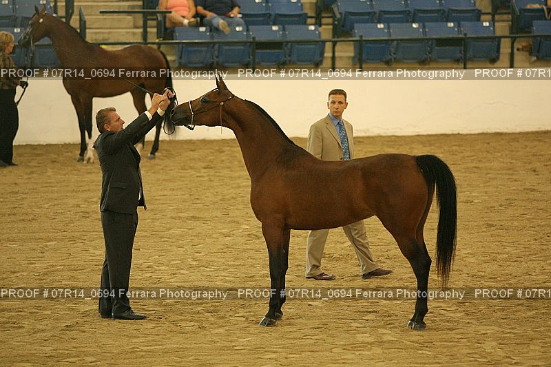 Proof 07R14_0694