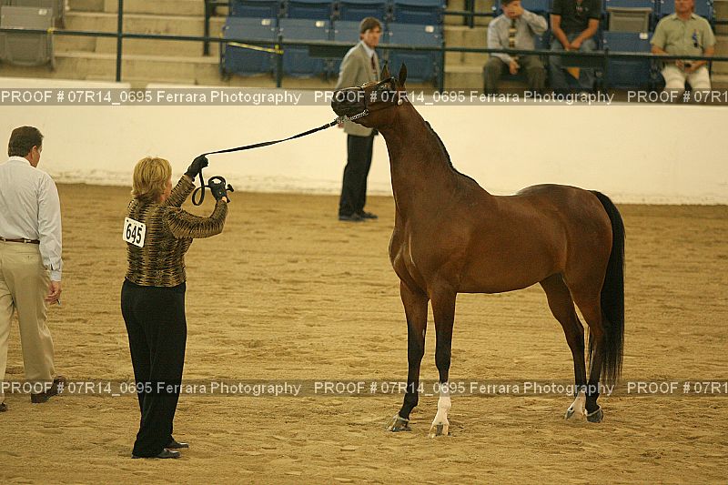Proof 07R14_0695