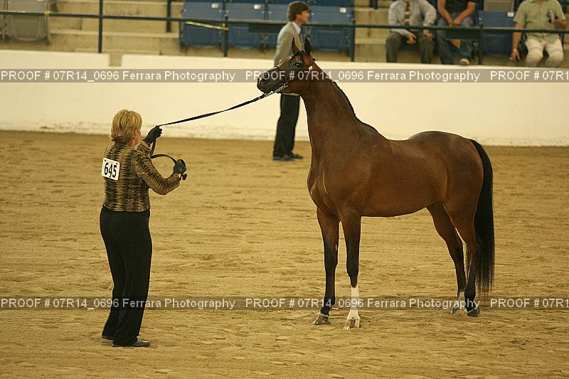 Proof 07R14_0696