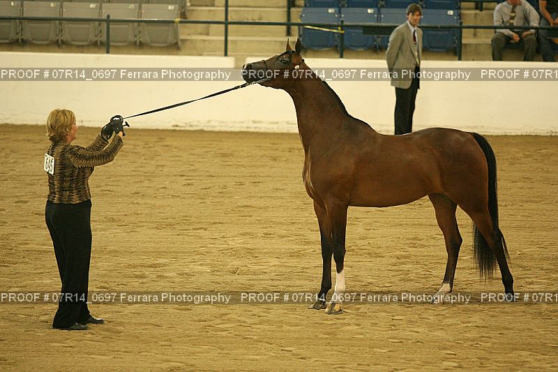 Proof 07R14_0697