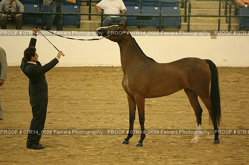 Proof 07R14_0698