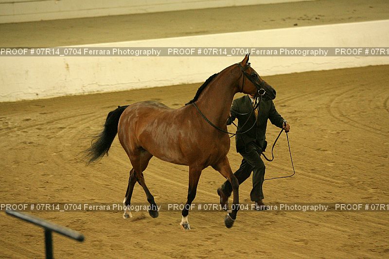 Proof 07R14_0704
