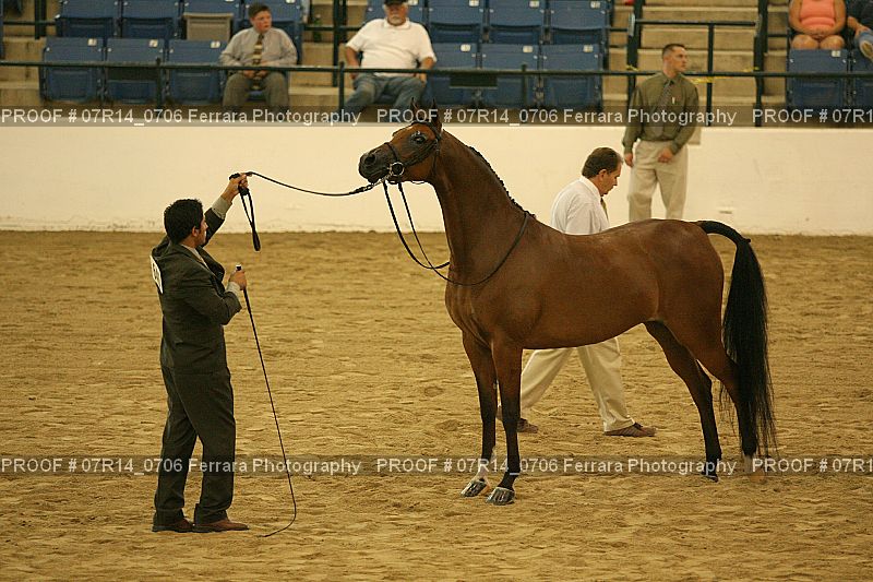 Proof 07R14_0706