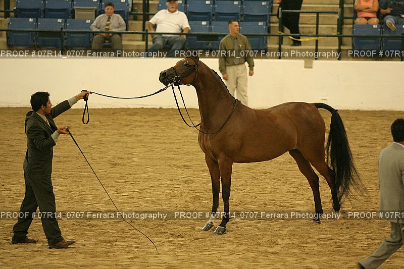 Proof 07R14_0707