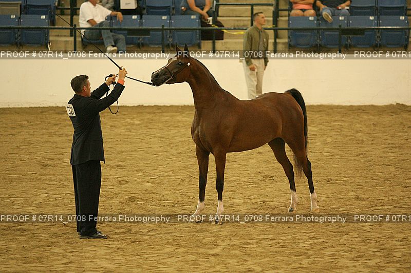 Proof 07R14_0708