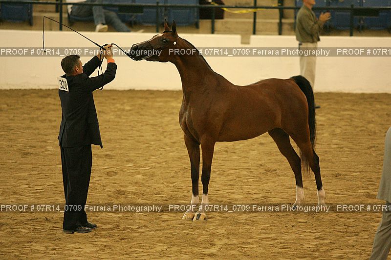 Proof 07R14_0709