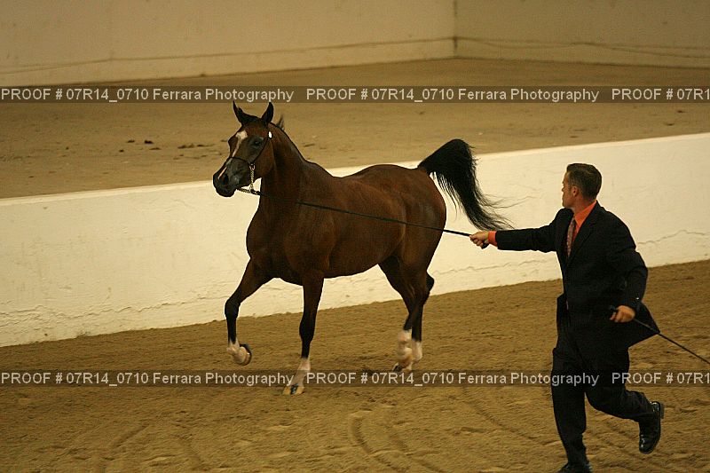 Proof 07R14_0710
