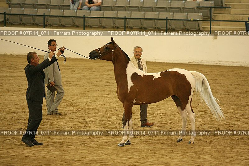 Proof 07R14_0711