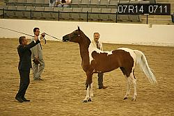 07R14_0711 proof