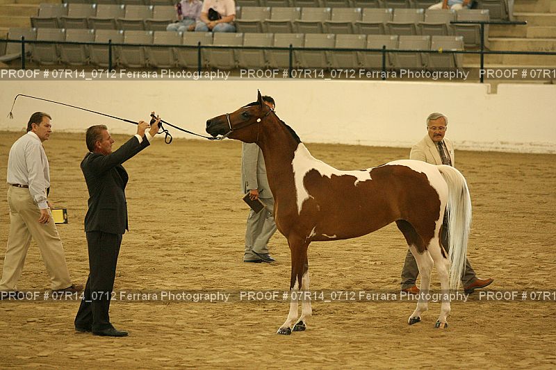 Proof 07R14_0712
