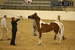 07R14_0712 proof