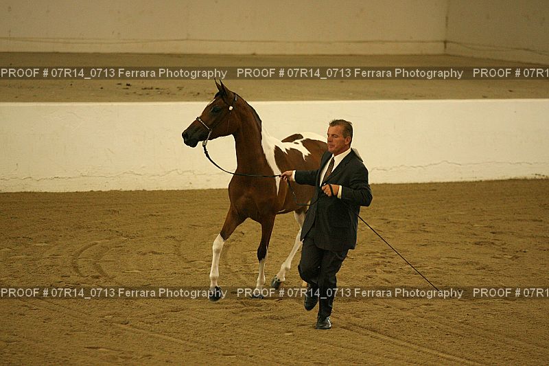Proof 07R14_0713