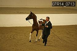 07R14_0713 proof